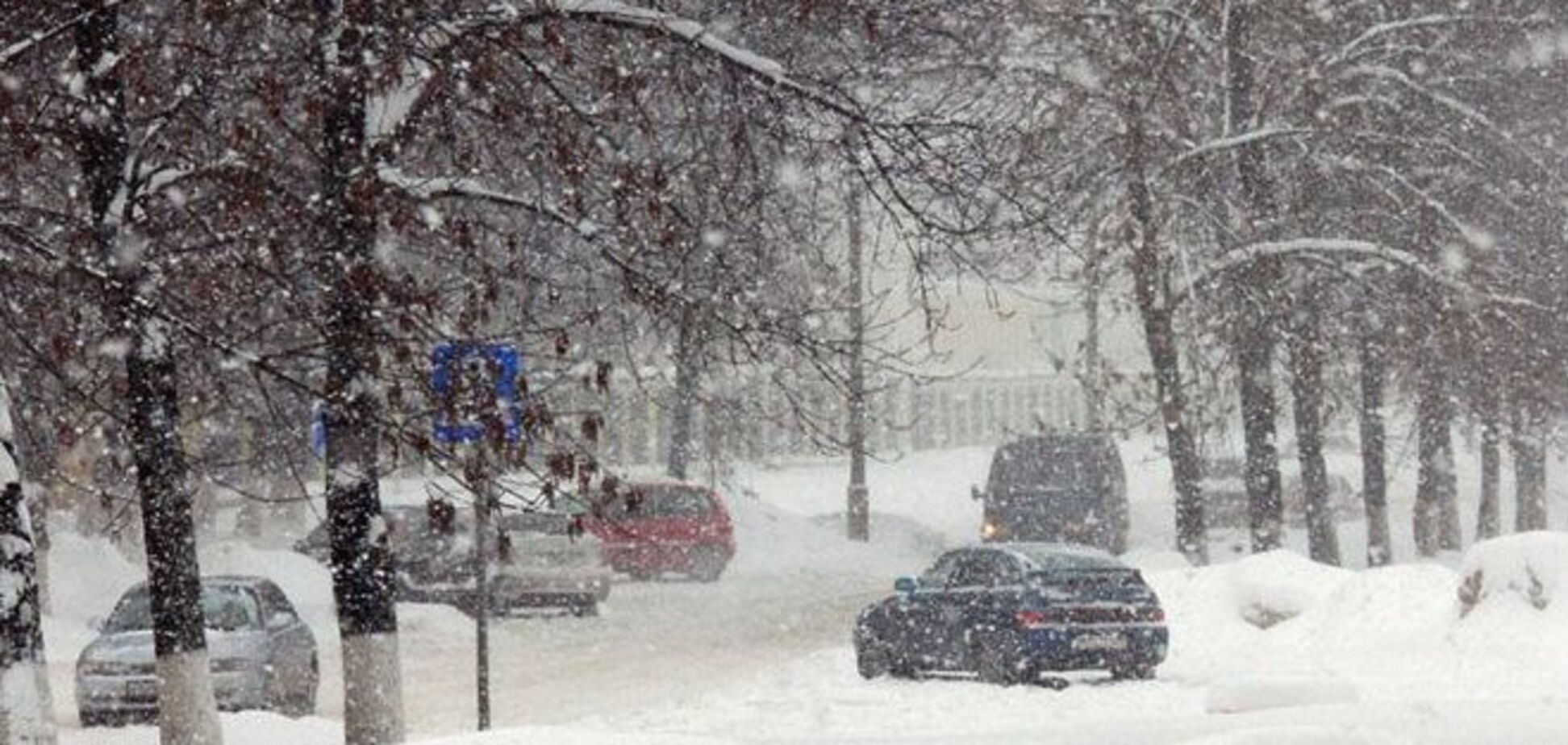 Погода в Украине: к потеплению - через метели