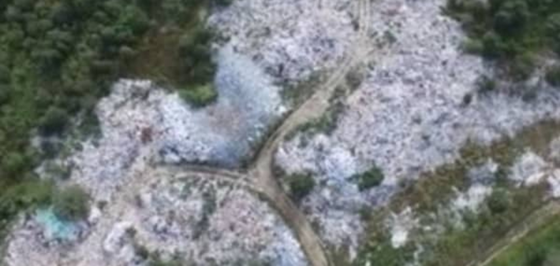 Украинцы уничтожают уникальную природу: экологи сняли шокирующее видео над Закарпатьем