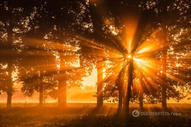 Золотые закаты и багрянец листвы. Как осень 'захватывает' мир: изумительные фото