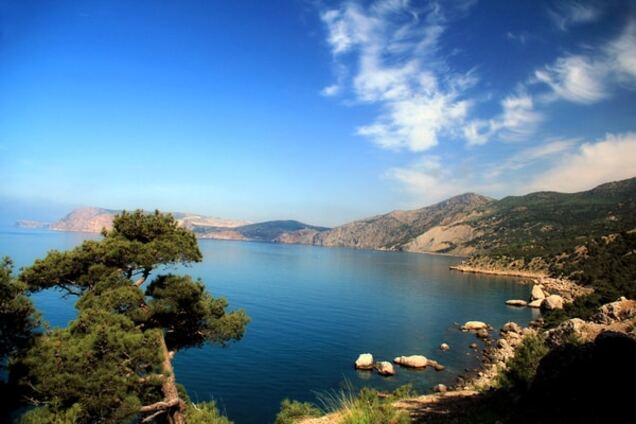 Новости Крымнаша. Рыба гниёт с головы