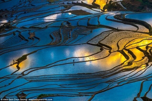 Земля тысячи зеркал: фотограф сделал захватывающие снимки рисовых полей Китая