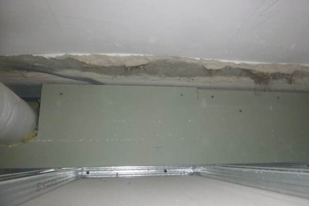 В Киеве спасатели в поисках кота 'разрушили квартиру'