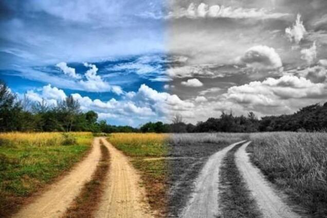 Чудеса эволюции