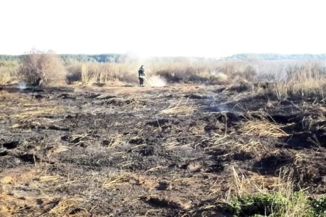 Під Києвом загорілися 10 гектарів торфовищ