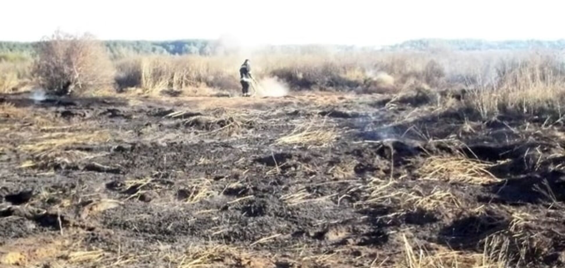 Под Киевом загорелись 10 гектаров торфяников