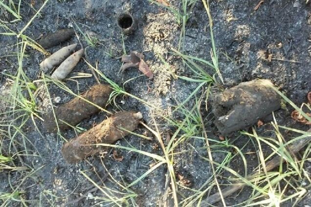 Взрывы снарядов на Киевщине: спасатели показали опасные находки