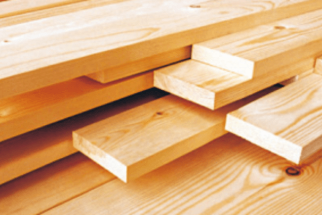 Уряд, не виконавши 'лісовий закон', провокує корупцію на кордоні