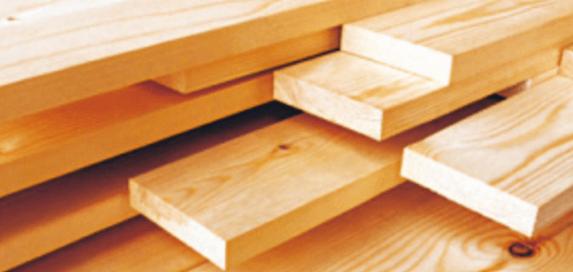 Уряд, не виконавши 'лісовий закон', провокує корупцію на кордоні