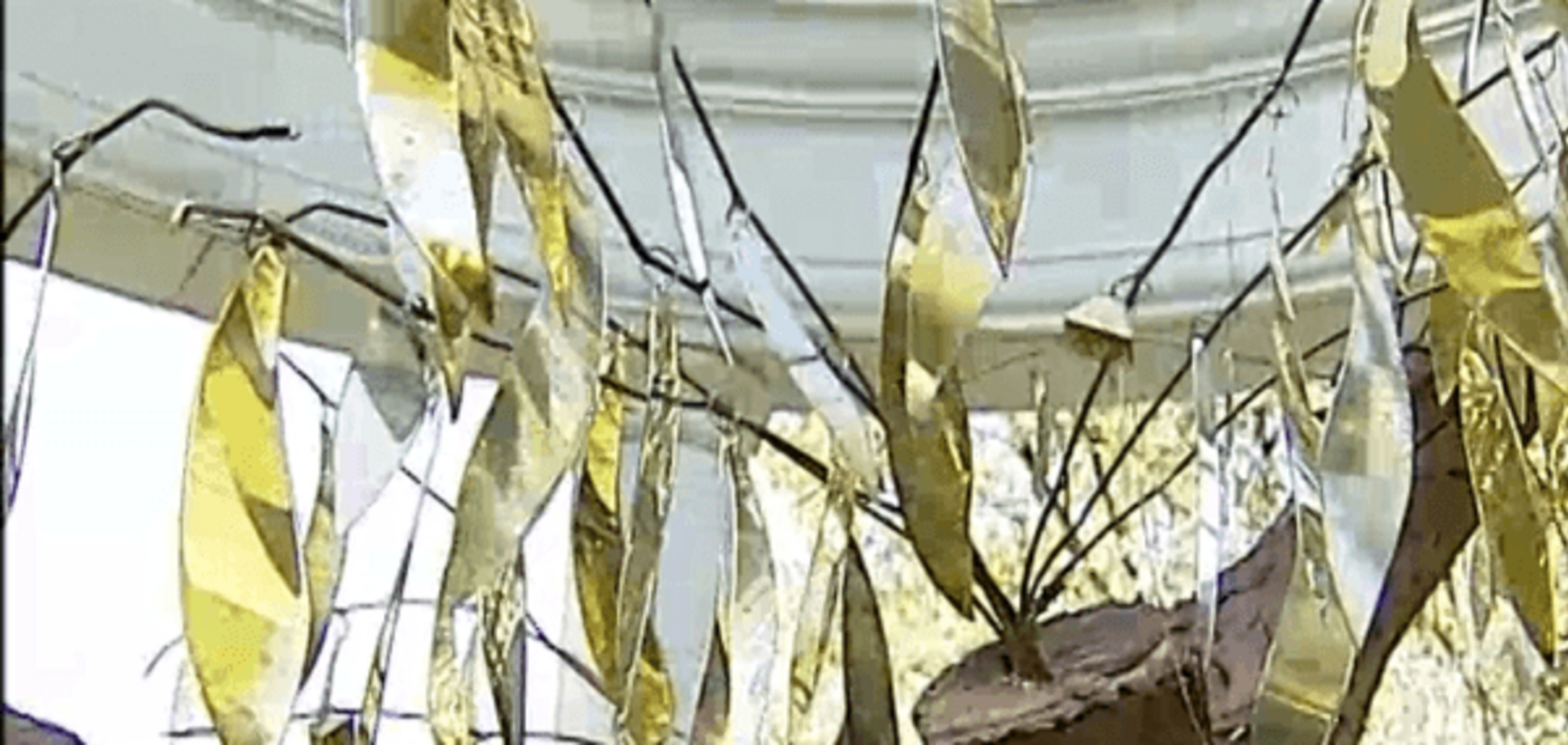 В центре Ирпеня под Киевом открыли Аллею героев АТО