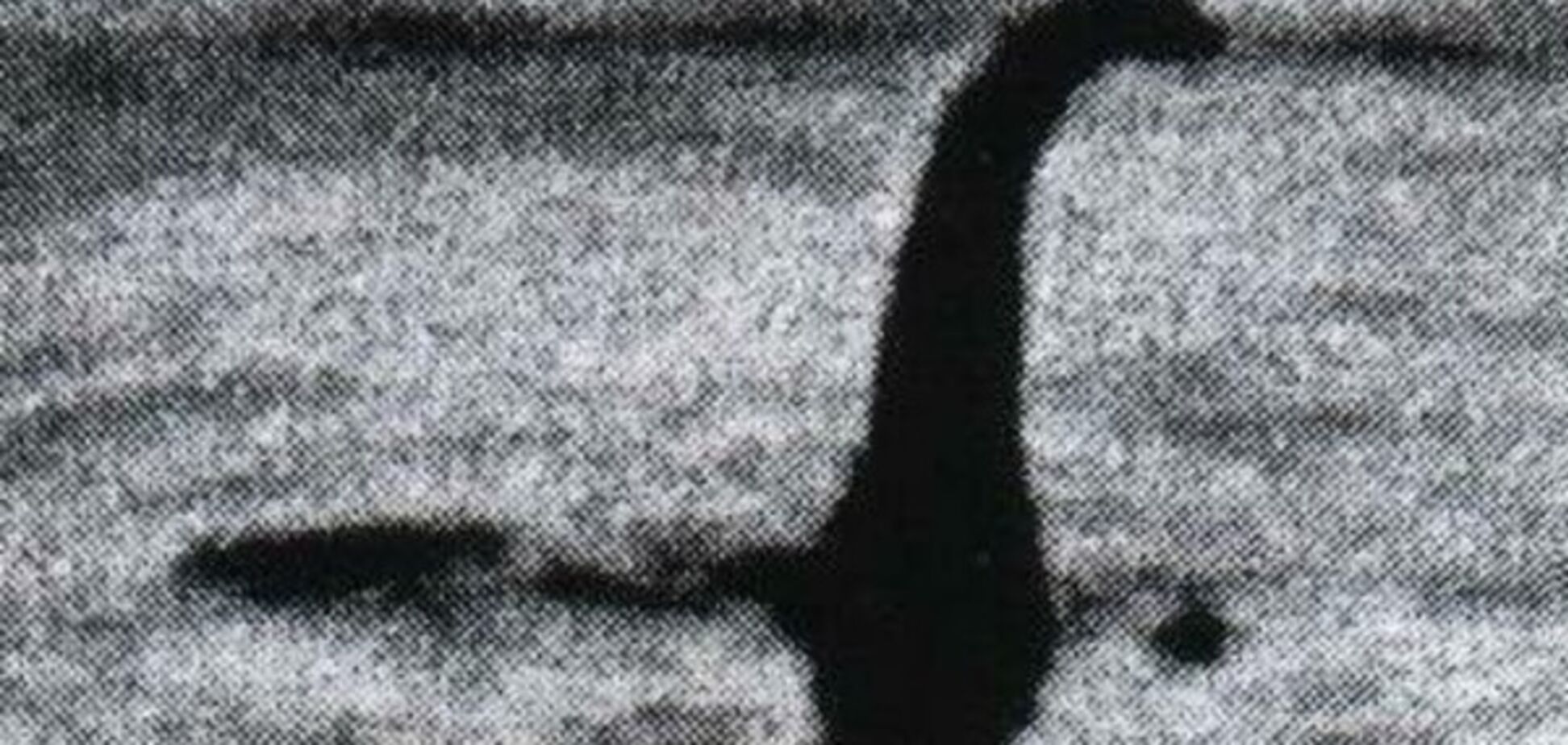 СМИ опубликовали список неразгаданных тайн XX века