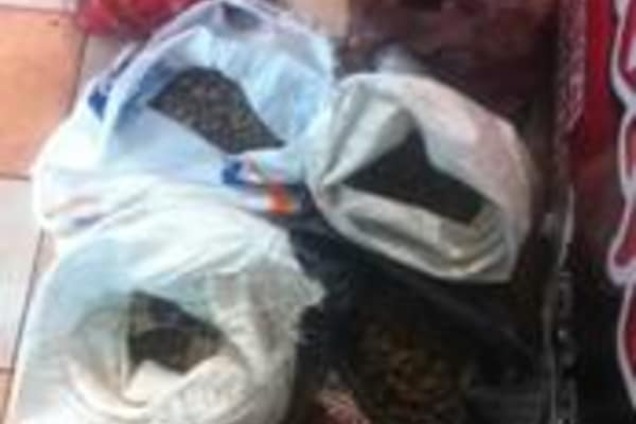 Налоговая милиция изъяла партию янтаря на 2,9 млн гривен