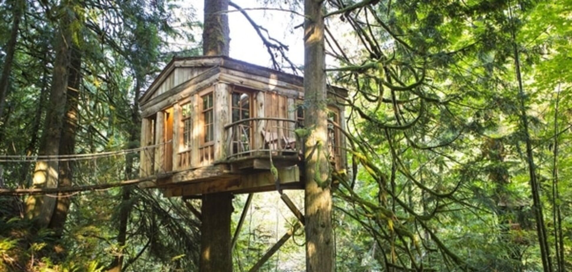 Мрії дорослих дітей: найбожевільніші будиночки на деревах