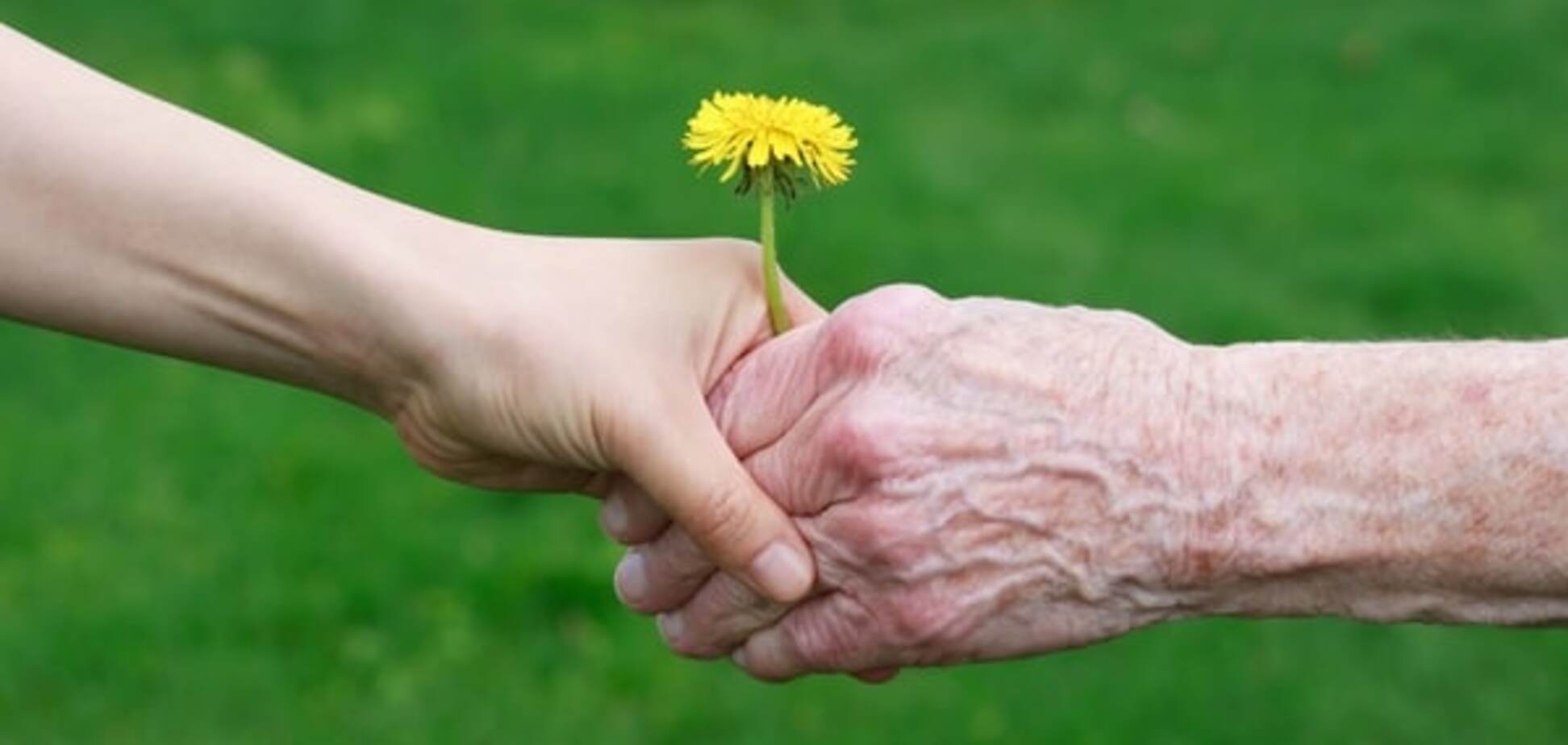 Секрет семи поколений рода: как предки влияют на будущее человека