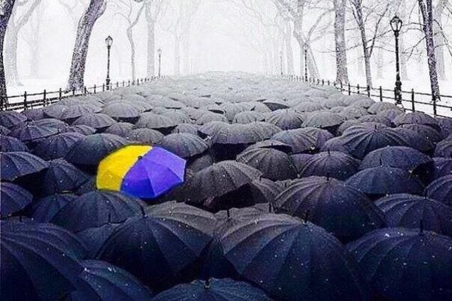 Розфарбувати осінь: лайфхак для киян від Андрія Куркова