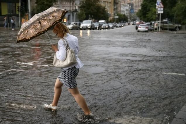 В Киеве испугались кислотных дождей