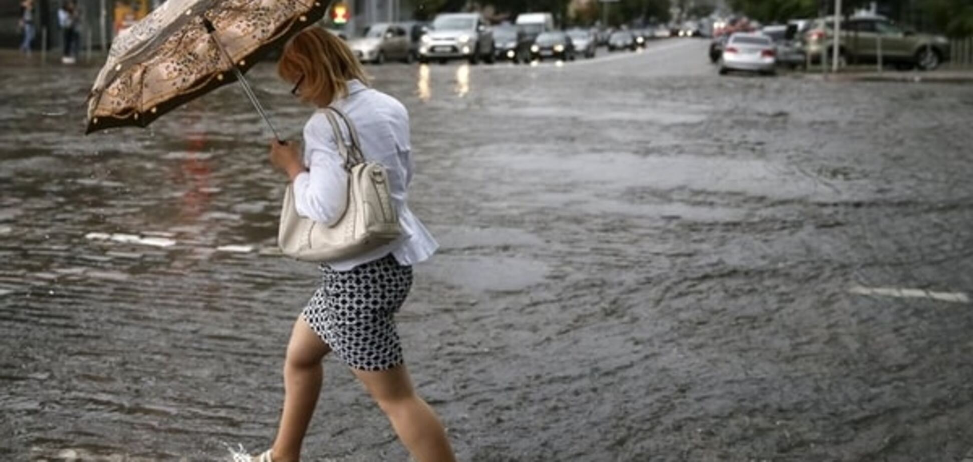 В Киеве испугались кислотных дождей