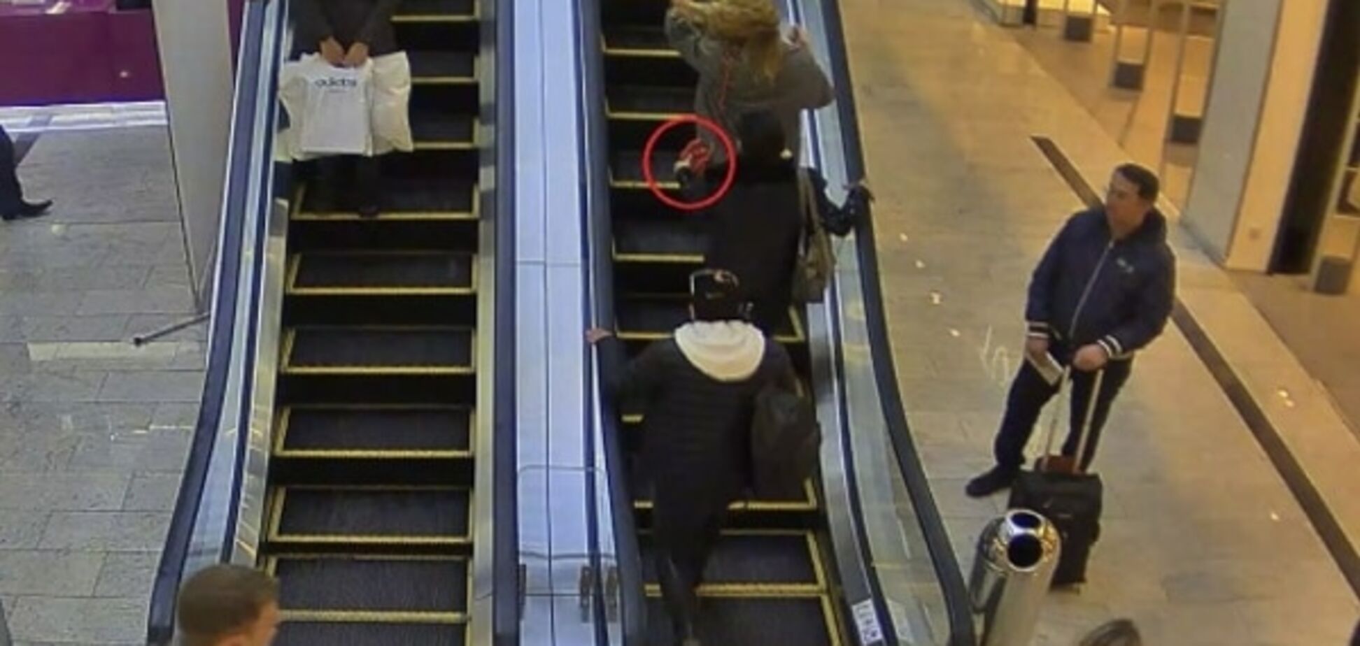 В торговом центре в Киеве воровки ловко обчистили девушку: опубликовано видео