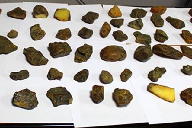 Янтарные войны: СБУ задержала группу преступников во главе со священником