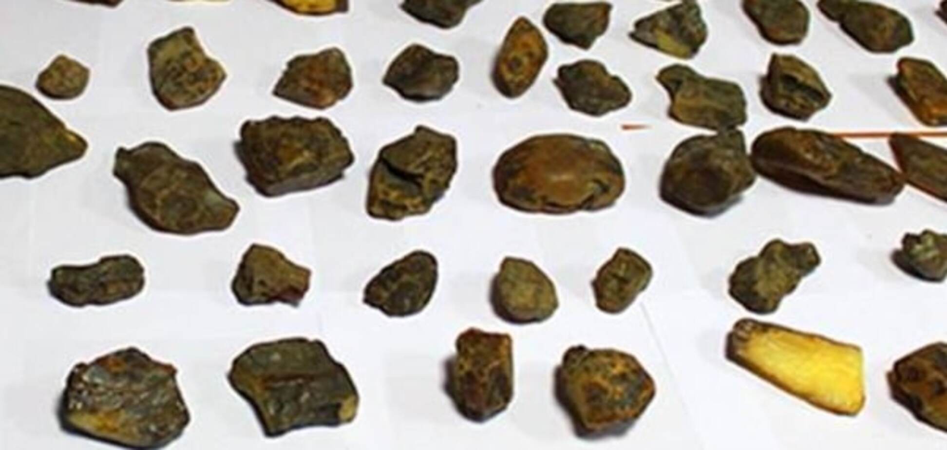 Янтарные войны: СБУ задержала группу преступников во главе со священником