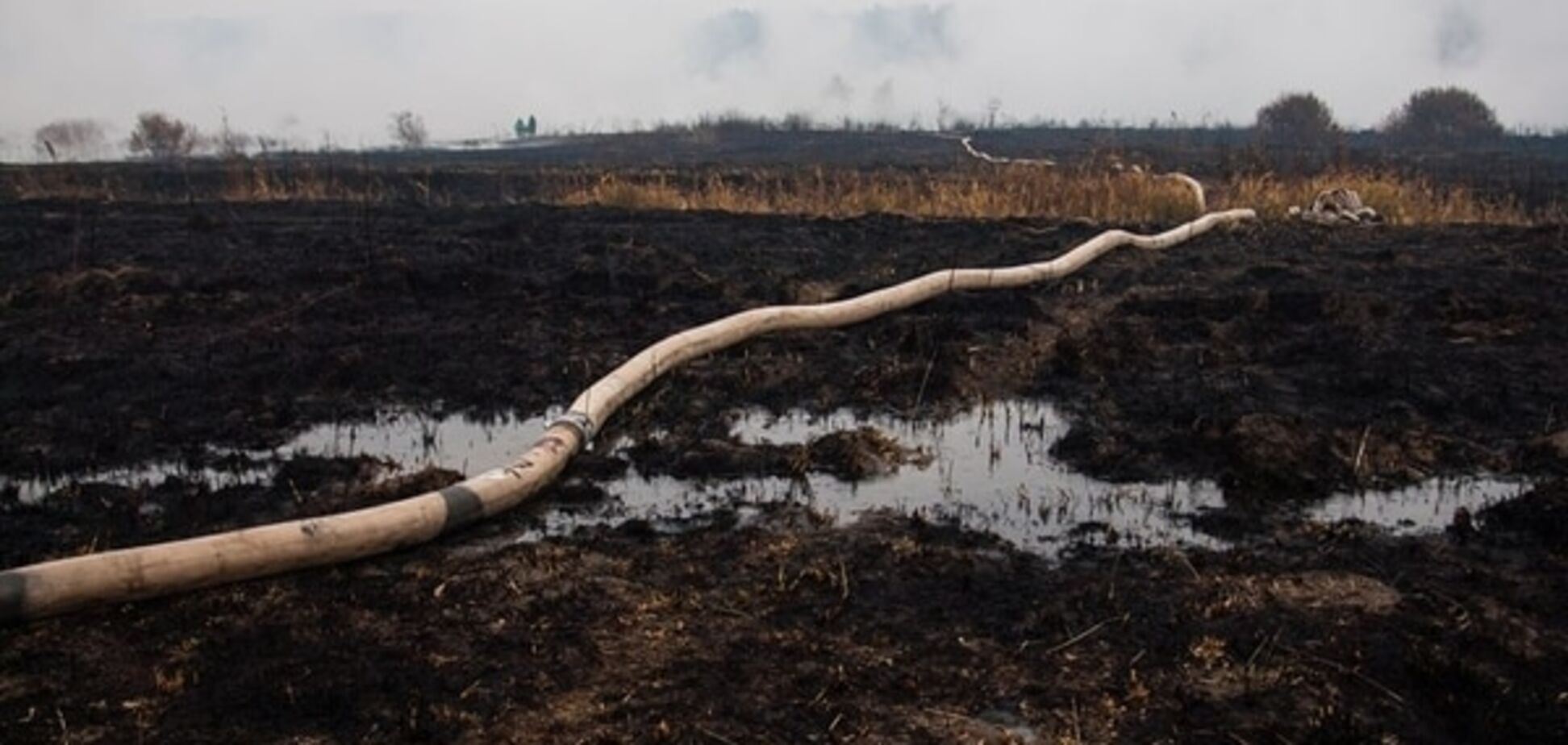 Пожары на торфяниках под Киевом охватили 9 районов