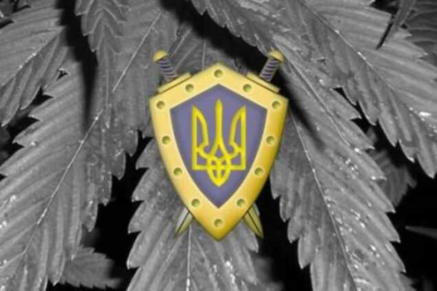 Борьба с наркотиками 'под угрозой': Аваков заявил о расформировании БНОН