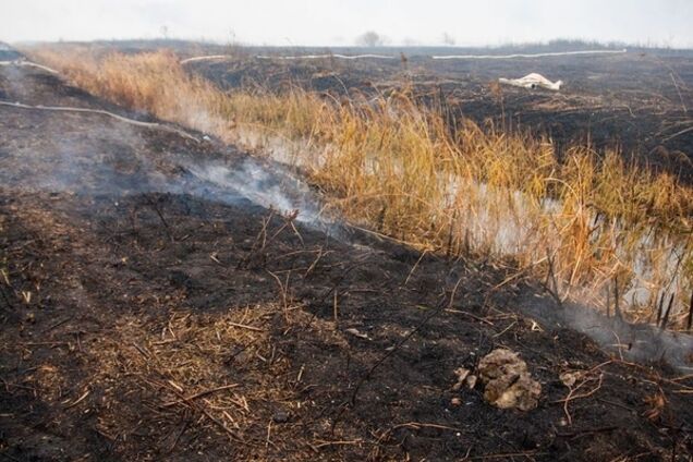 Как потушить торфяники под Киевом: эколог дал подсказку