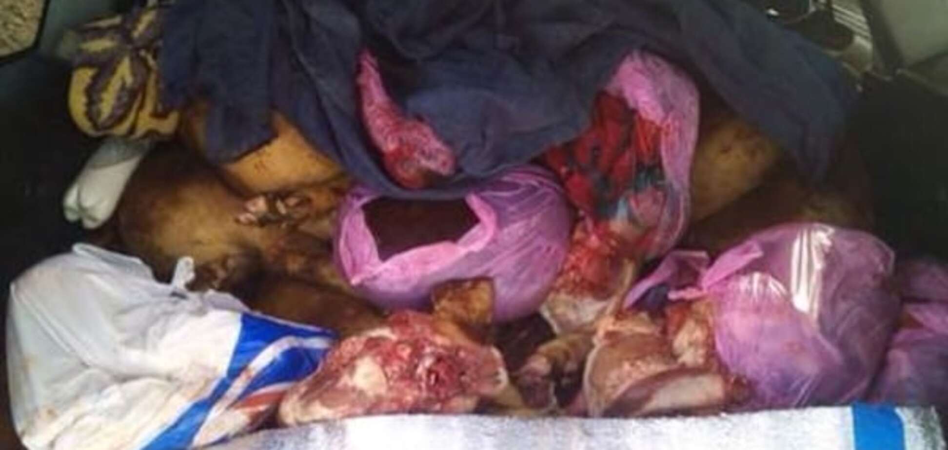 СБУ не пустила к террористам 'ДНР' мяса на 150 тыс. гривен: опубликованы фото