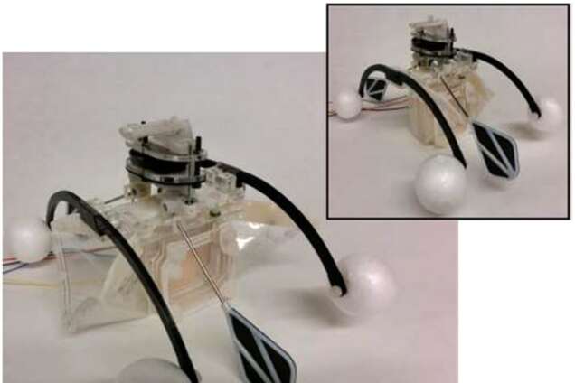 Почти вечный двигатель: ученые создали робота, добывающего себе энергию из воды