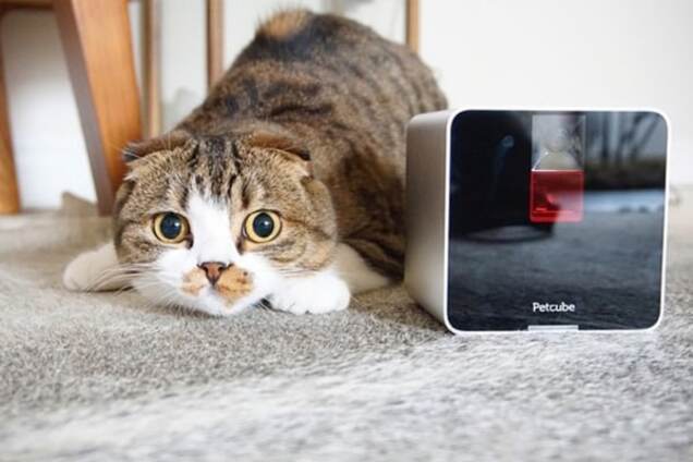 В Украине начались продажи отечественного гаджета, покорившего мир