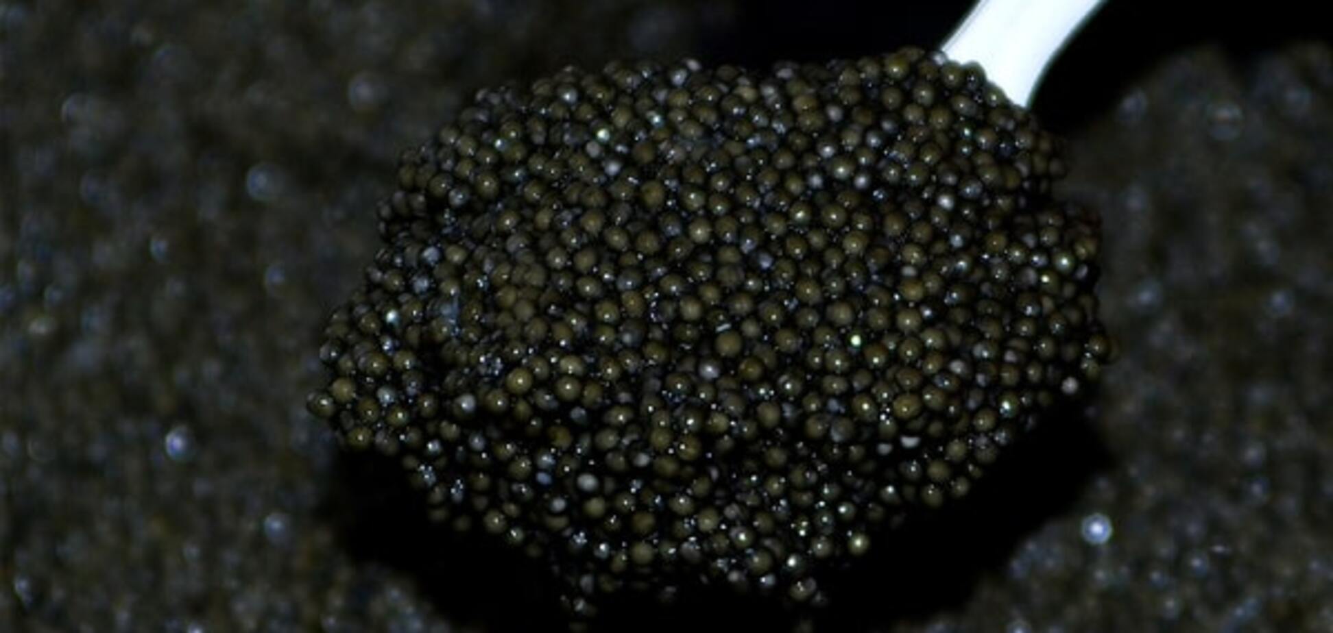 Внезапно: российские полицейские нашли в гробу под траурными венками 500 кг икры