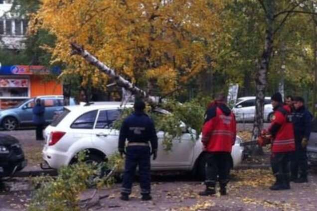 В Киеве упавшая береза разбила автомобиль