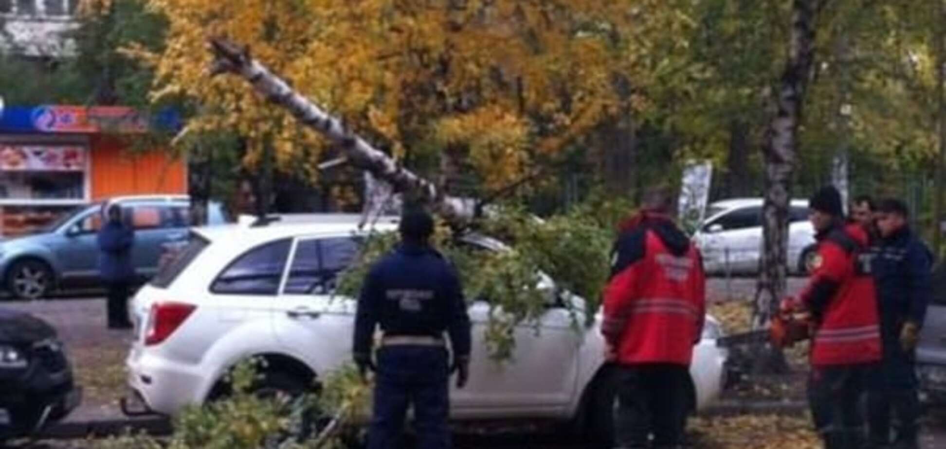 В Киеве упавшая береза разбила автомобиль