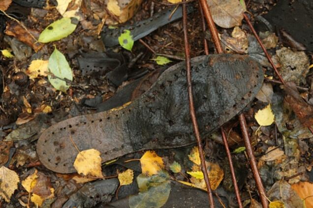 Шокирующая находка: в Польше на территории бывшего концлагеря обнаружили остатки нацизма