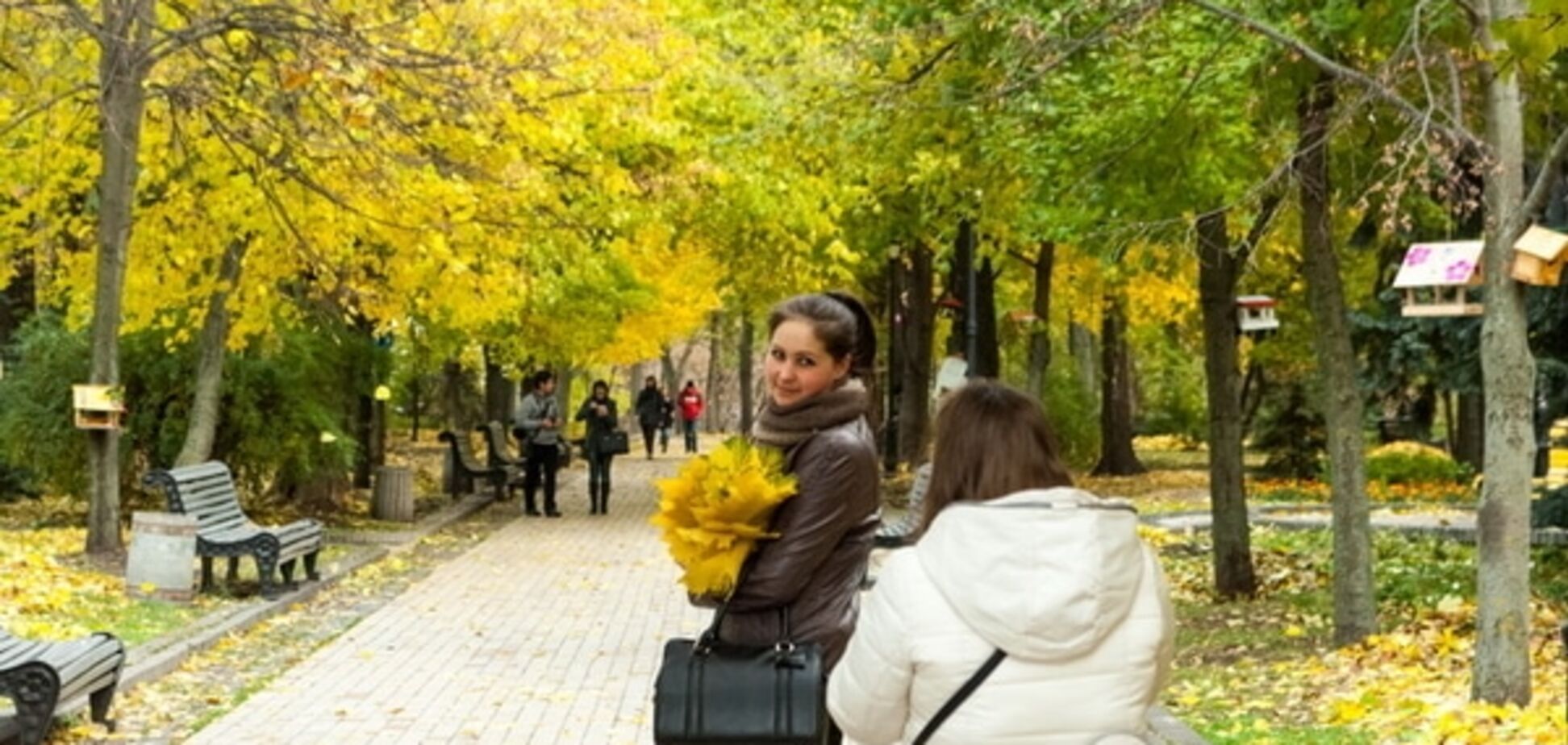 Как Киев выглядит осенью: самые красивые места