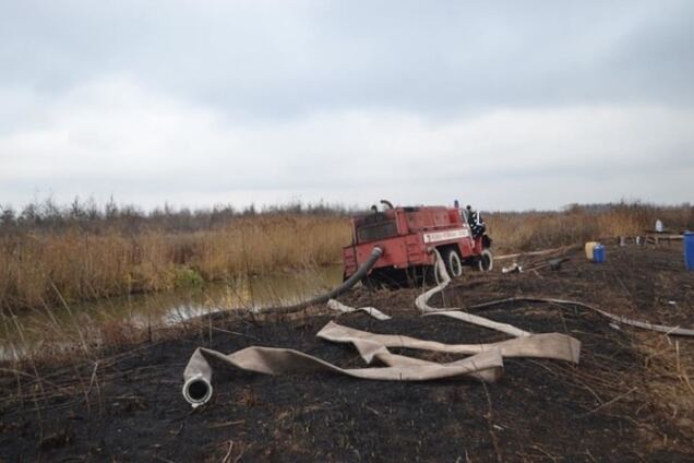 Київ у димному кільці: в ДСНС відзвітували про пожежі