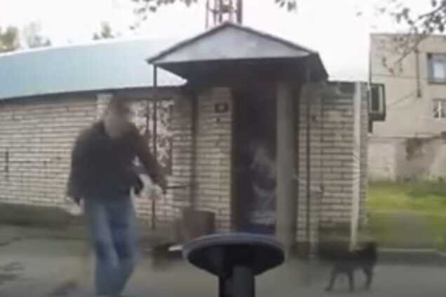 И даже не заметили! Сеть покоряет ролик, на котором человека сбила стая собак: видеофакт