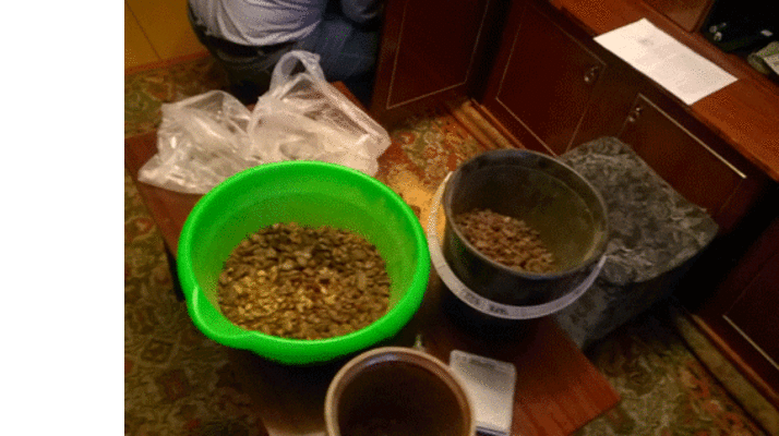 В Ривненской области изъяли 15 кг янтаря на миллион гривен