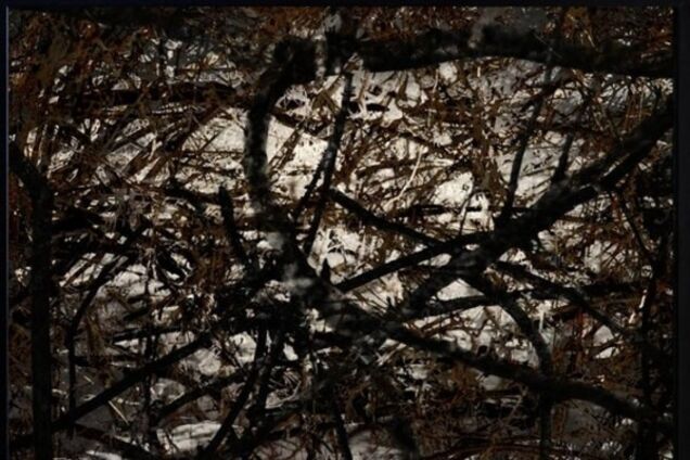 Лидеры 'ЛНР' и 'ДНР' перешли в ранг отморозков