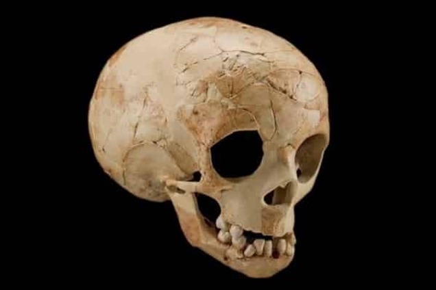 В Индонезии нашли неизвестную пещеру 'хоббитов'