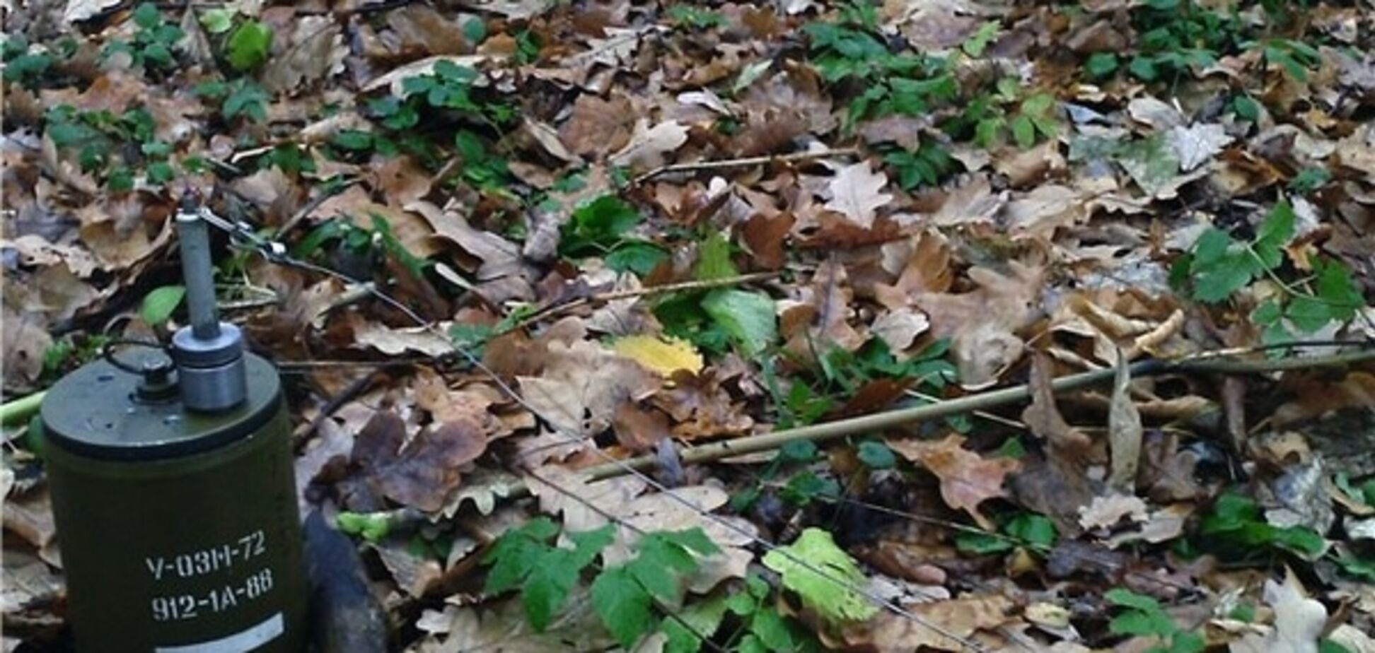На Донбассе два бойца АТО погибли при взрыве мины, есть раненые