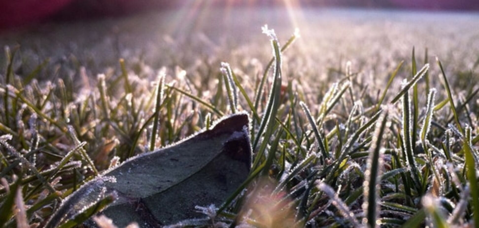 Синоптики предупредили, что в Украину идут первые морозы