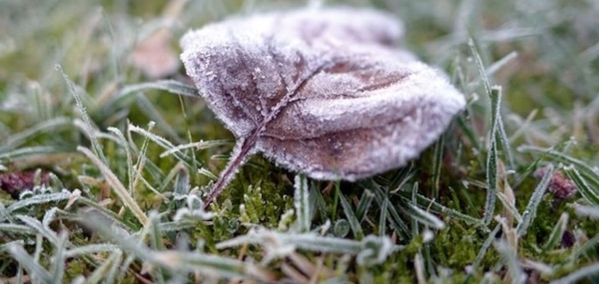 В Киеве значительно похолодает: прогноз погоды на неделю