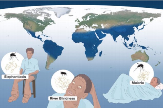 Нобелевская неделя в Швеции: первую премию дали 'за паразитов'