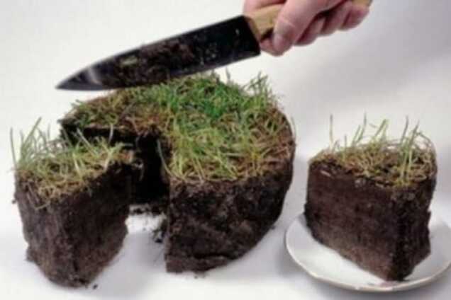 Украина и Россия. Сегодняшний день показал разницу