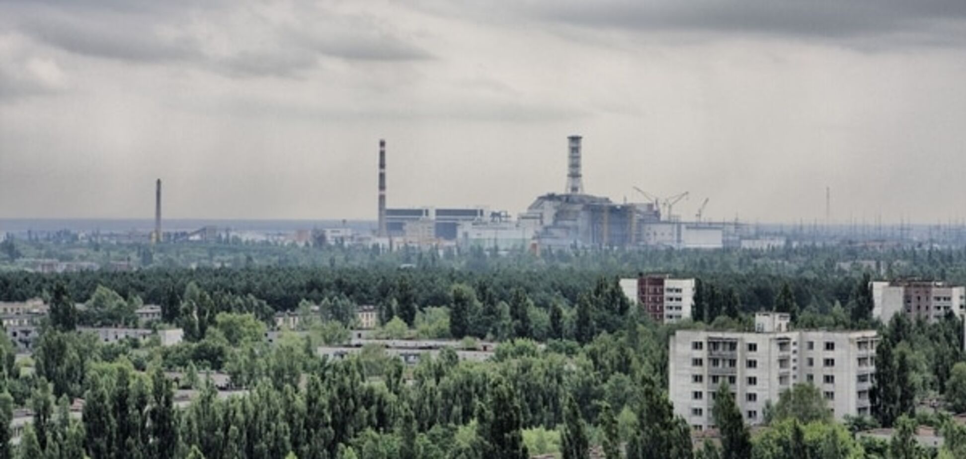 Ученые назвали Чернобыль возрожденным заповедником