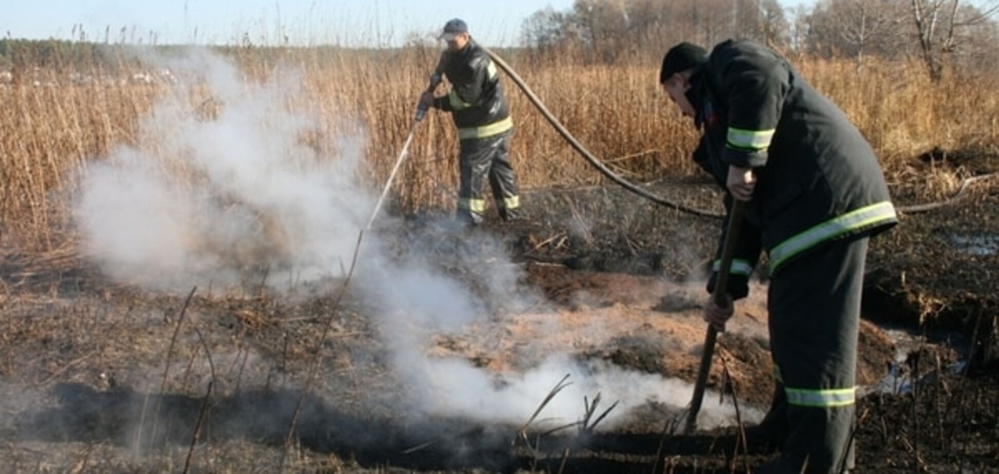 Под Киевом ночью загорелись три гектара леса