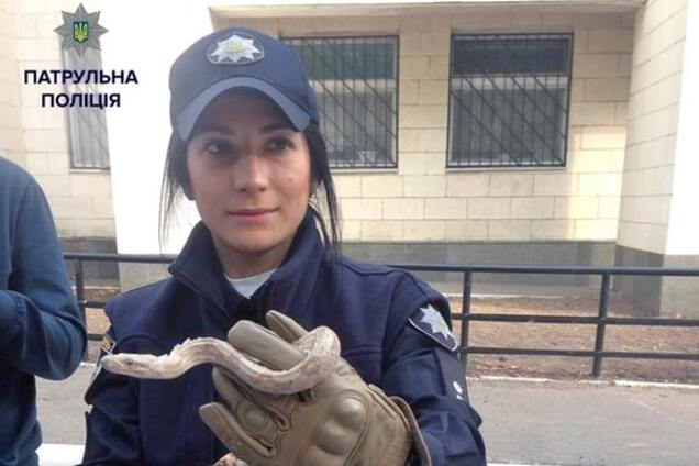 В Киеве полицейские спасли жильцов квартиры от удава: фотофакт