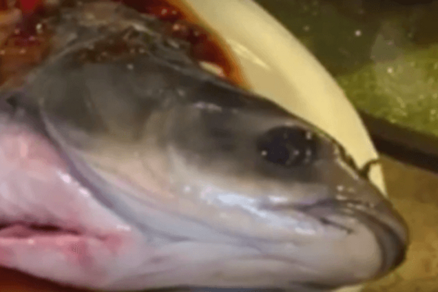У Китаї приготована риба раптово 'ожила' в тарілці: відеофакт