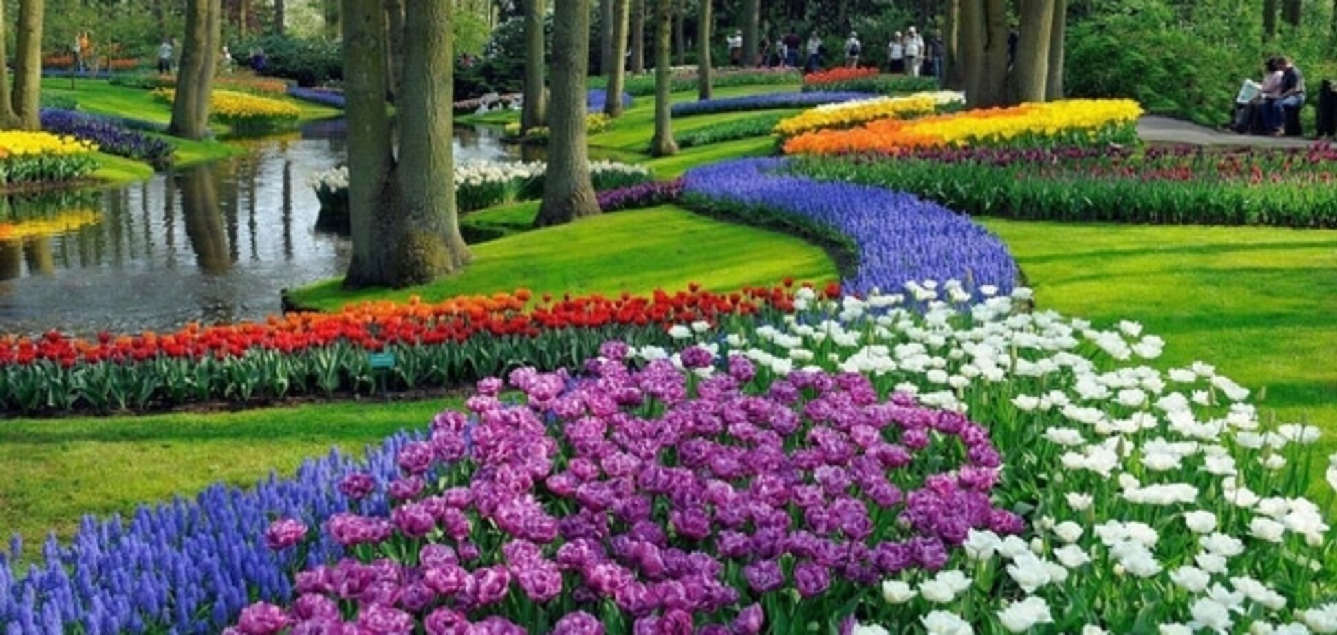 Знаменитый на весь мир парк тюльпанов