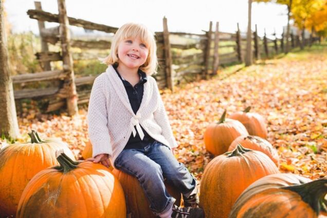 Что делать на даче в октябре: полезный список 